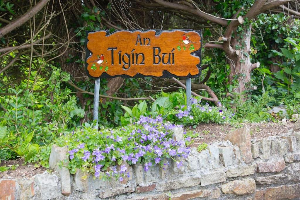 An Tigín Buí Villa Glanbannoo Upper Ngoại thất bức ảnh